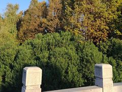 -贡湖湾湿地公园