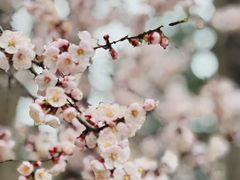 -吉林大学(南岭校区)