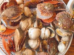 野生扇贝-海味当家·蒸锅海鲜(星海公园店)