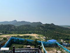 -西霞口神雕山野生动物世界