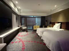 -南京禄口机场雅高铂尔曼大酒店