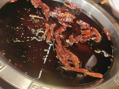 -堂客老火锅(欣阳广场总店)