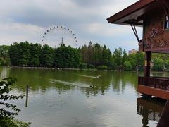 -上海野生动物园老虎餐厅