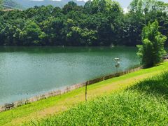 -雁南飞茶田景区