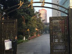 -中国福利会少年宫