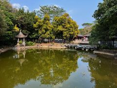 -深圳国际园林花卉博览园