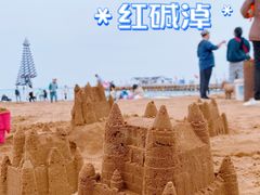 -红碱淖景区