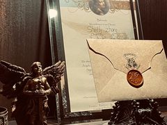 -雪灵魔法世界SHELLY’S TAROT(大良桂畔里店)