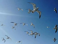 -仁川港国际客运码头