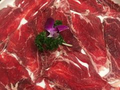 -红鼎坊·老成都火锅(新南门店)