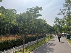 -嘉北郊野公园