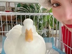 -共舞时光猫咖·狗咖(新街口店)