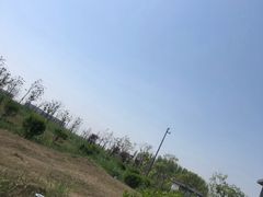 -盐城丹顶鹤湿地生态旅游区