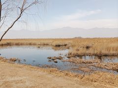 -野鸭湖国家湿地公园