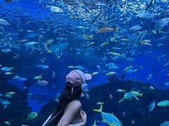 -海合安成都极地海洋公园