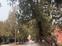 -北京市劳动人民文化宫(太庙)