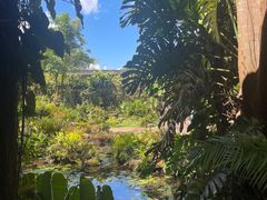-中国科学院西双版纳热带植物园