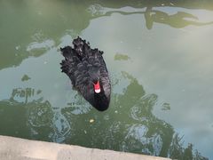 -南戴河国际娱乐中心