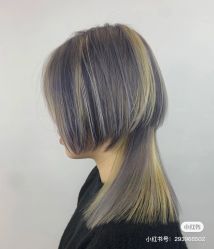 -GT潮朴美业