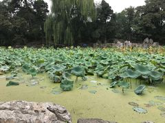 -清华大学-甲所餐厅