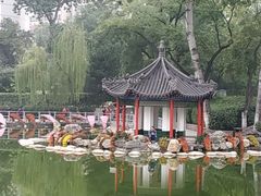 -莲湖公园