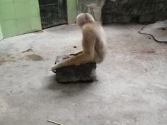 -石家庄市动物园