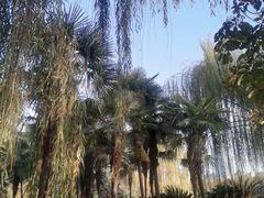 -后襄河公园