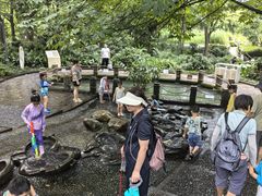 -成都市活水公园