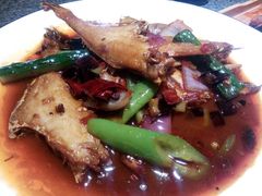 -酒肉行·虎子盐筋烤肉(大寨路店)