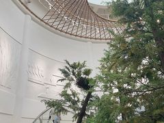 -同里国家湿地公园