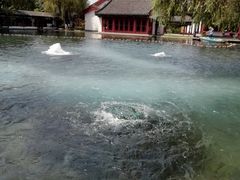 -百脉泉景区