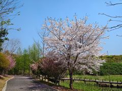 -同里国家湿地公园