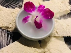 井水豆花-渝涯重庆豆花老火锅(中赢国际店)