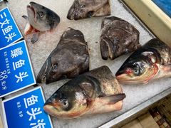 -双井轩(双井店)