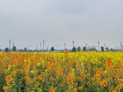 -中国天府农业博览园