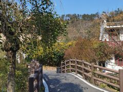 -黄陂区野村谷景区