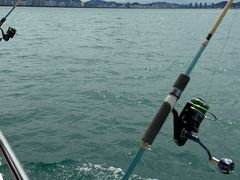 -小猫钓鱼海钓俱乐部(椰梦长廊店)