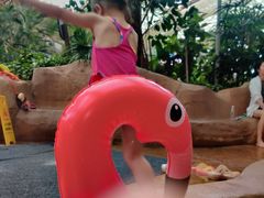 -杭州开元森泊度假乐园