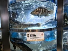 -老船舫·现做活鲜鱼馆(东郊记忆店)