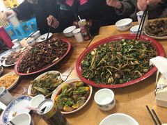-东吴霸王兔(松青路店)