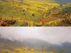 -婺源风景区
