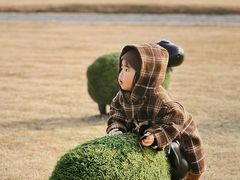 -山明水秀大饭店