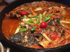 -老板恋上鱼(恒隆广场店)