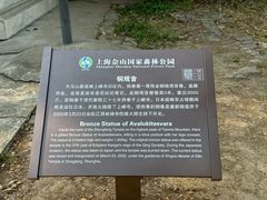 -上海佘山国家森林公园天马山园