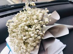 -ChaKo Flora ·茶子花艺 (市北店)