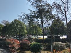 -三江森林温泉度假区