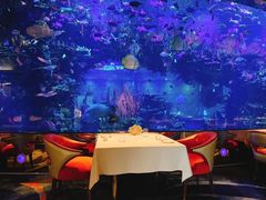 -迪拜帆船酒店海底餐厅