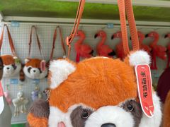 -石家庄市动物园