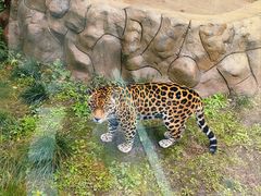 -乐和乐都主题乐园