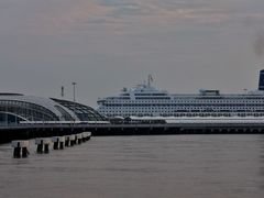 -上海吴淞炮台湾国家湿地公园